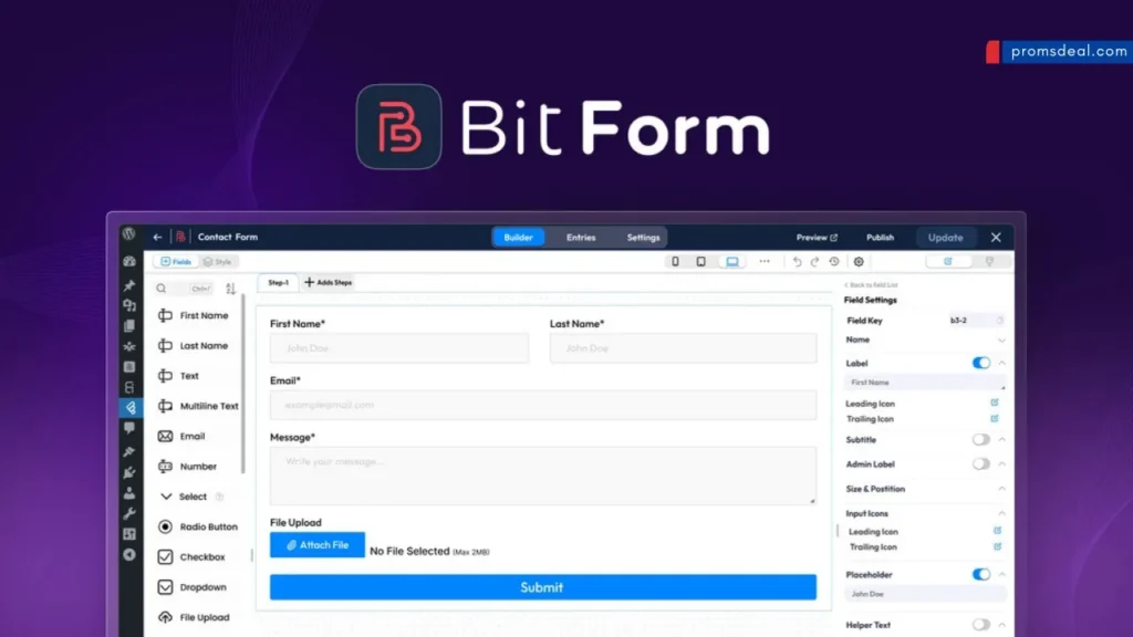 Bit Form Lifetime Deal Review